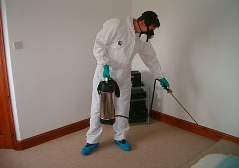 Pest control service