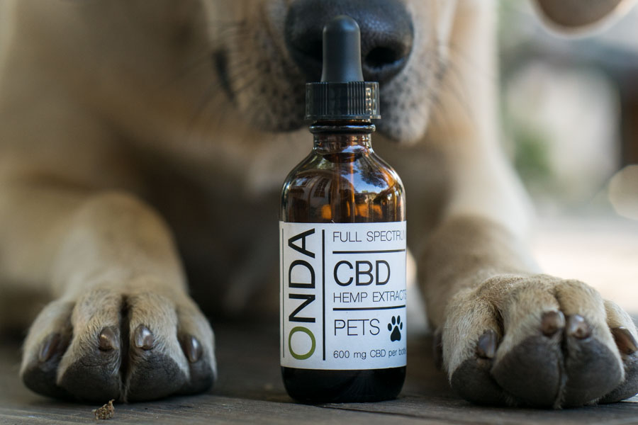 CBD for Pets