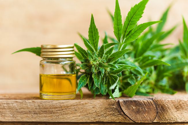 cbd oil for pain